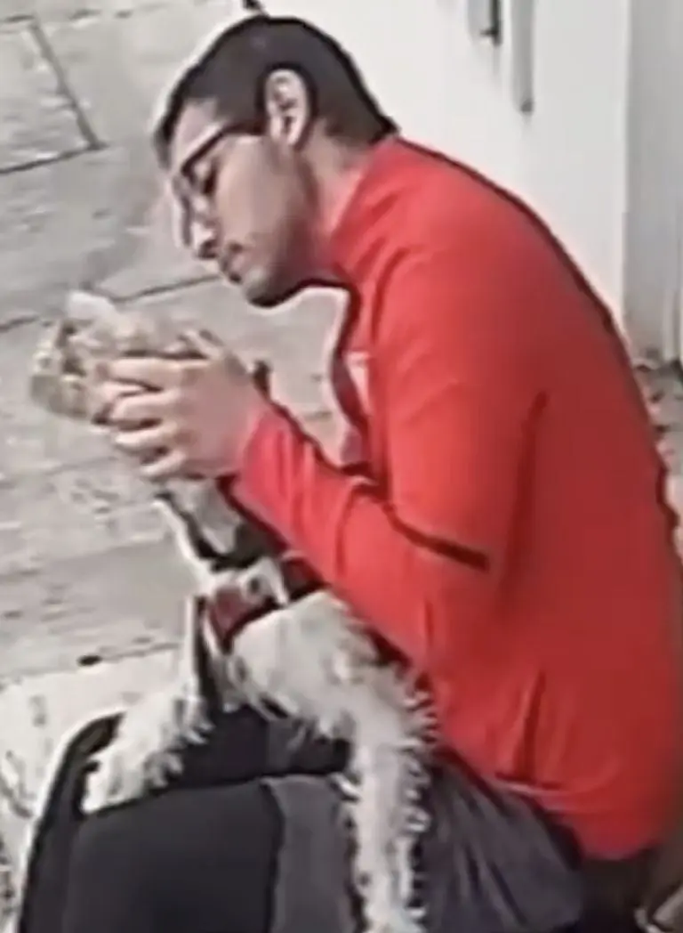 Hombre causa indignación al golpear fuertemente con el puño a su perro. Foto: Twitter