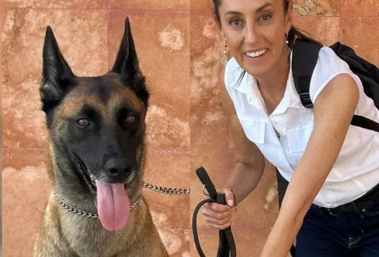 Agente bien perro de la Guardia Nacional se toma foto con Claudia Sheinbaum. 