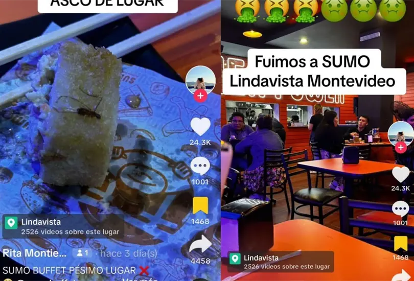 Una joven denunci&oacute; en TikTok que encontr&oacute; un enorme mosquito en la comida que pidi&oacute; en Sumo Buffet, adem&aacute;s de que supuestamente los gerentes no quisieron "dar la cara" luego de su reclamo