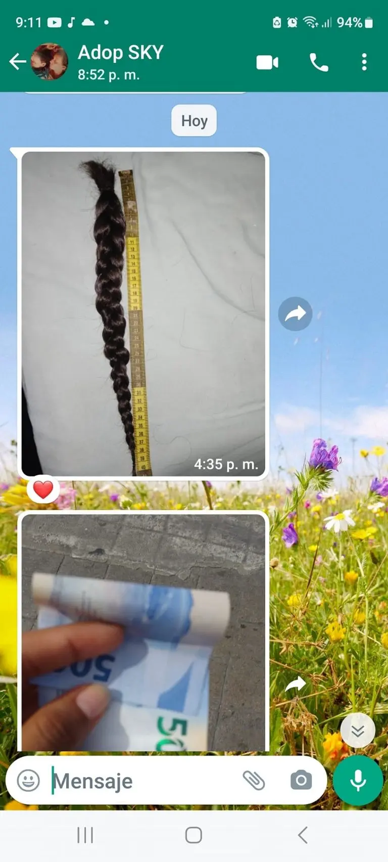 Joven vende su cabello para comprar tratamiento de mascotas - Tomada de video