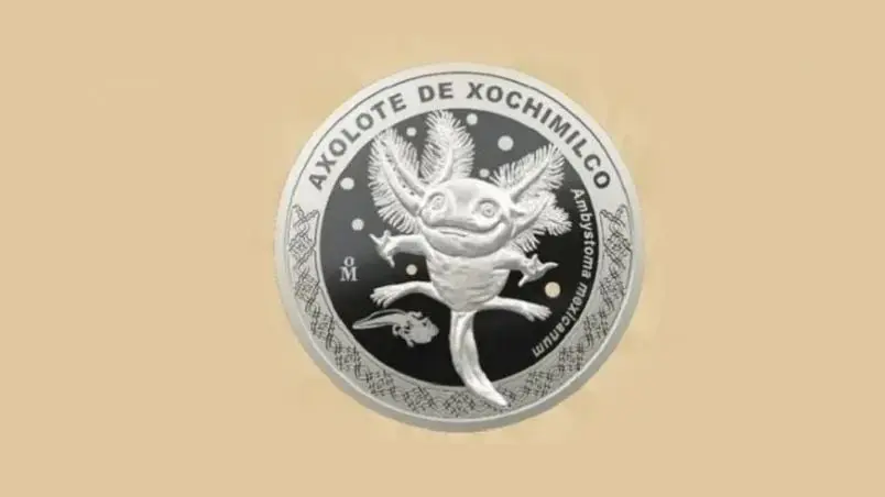 &iquest;D&oacute;nde puedes obtener la nueva moneda del ajolote?