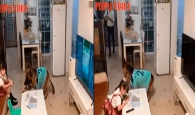 El perrito le echó aguas a la niña para que su padre no la cachara El perrito le echó aguas a la niña para que su padre no la cachara