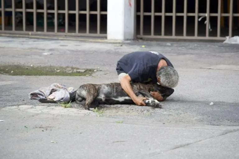 Hombre se reencuentra con su familia 18 años después, tras salir en la televisión. Foto: Especial