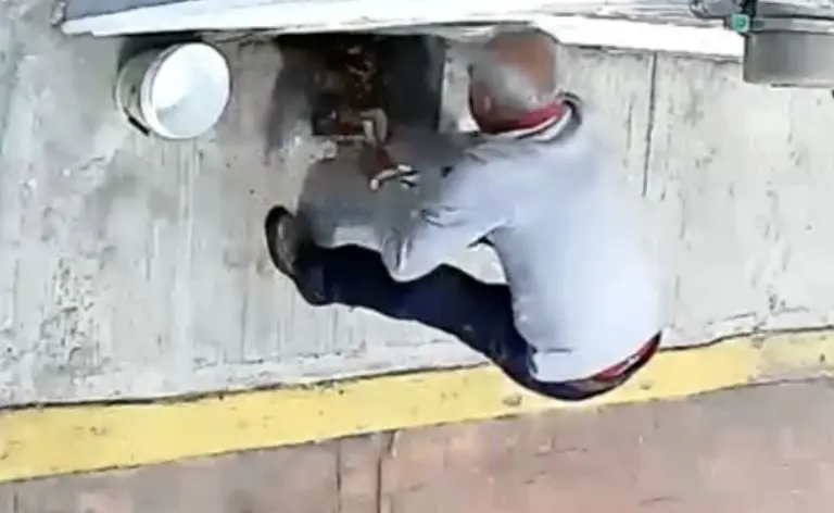 VIDEO: abuelito pone polvo en croquetas para perros callejeros, aparente veneno. Foto: Twitter