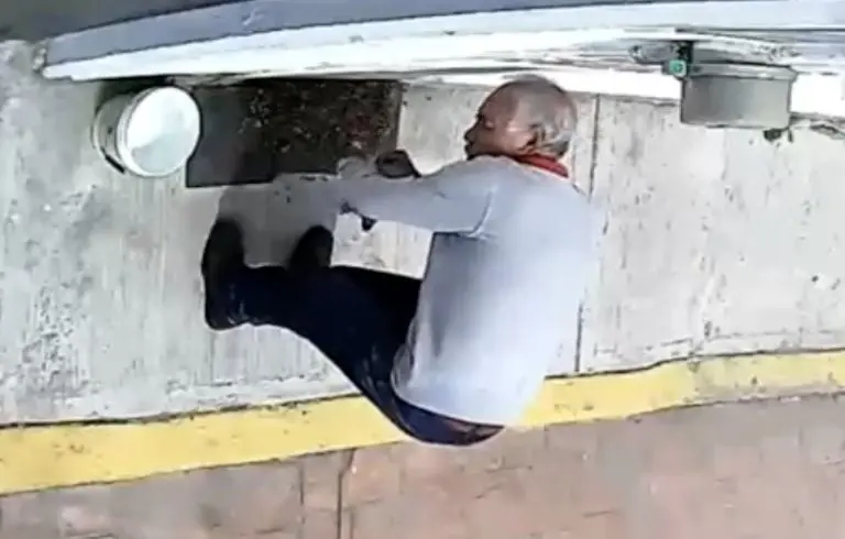 VIDEO: abuelito pone polvo en croquetas para perros callejeros, aparente veneno. Foto: Twitter