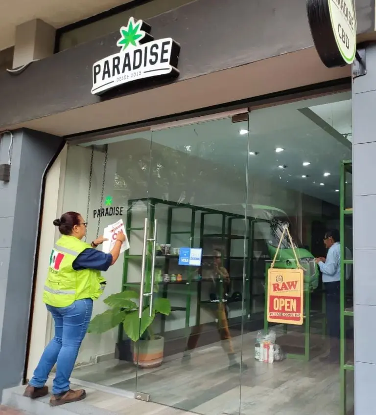Vicente Fox: ¿Por qué la Cofepris cerró sus tiendas de mariguana en la CDMX? Foto: Cofepris