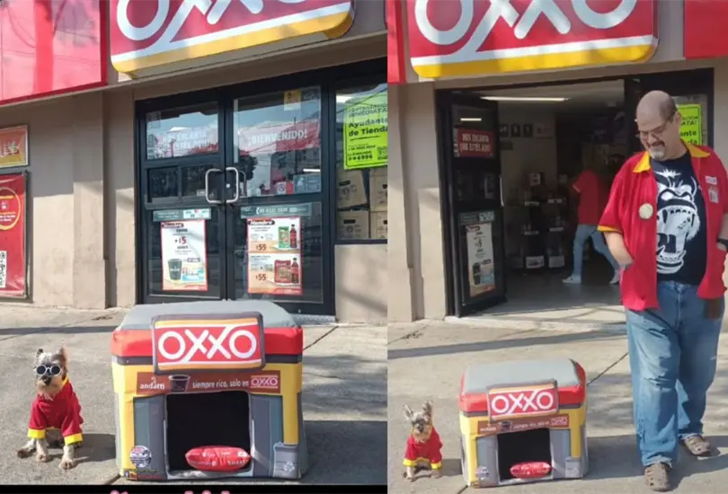 Las camas para mascotas en forma de Oxxo han cautivado a cientos de internautas