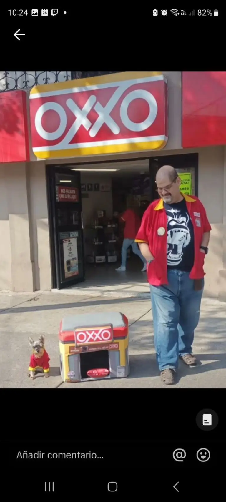 Camita en forma de Oxxo para mascotas - Tomada de video