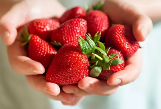 Hepatitis: ¿Me puedo contagiar por comer fresas? 