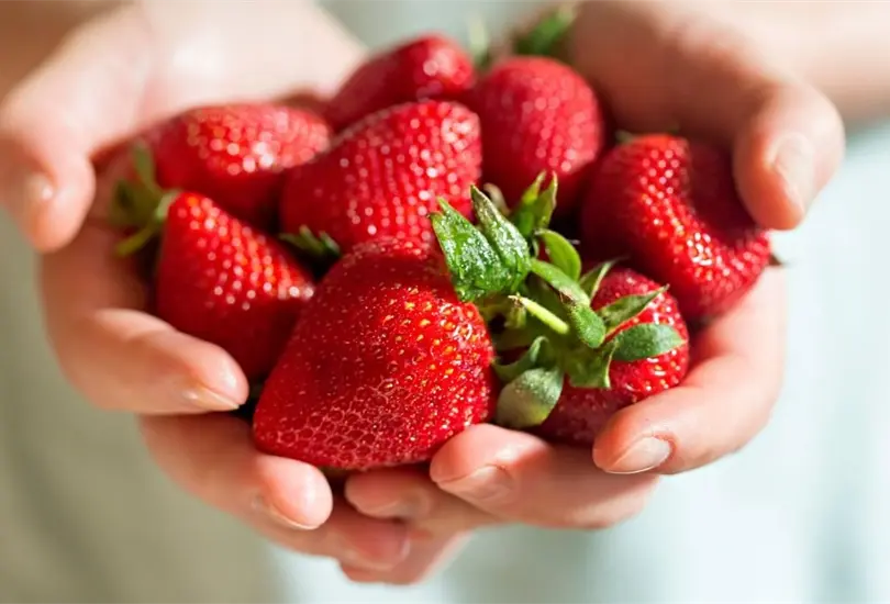 Hepatitis: ¿Me puedo contagiar por comer fresas? Hepatitis: ¿Me puedo contagiar por comer fresas?
