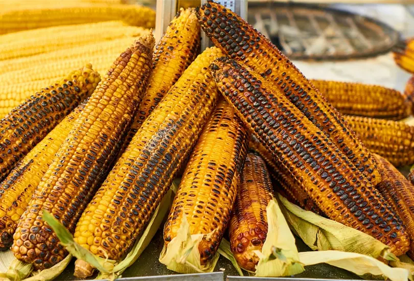 Feria del Elote y la Tortilla de la Ciudad de México: Cuándo, dónde y todo lo que debes saber Feria del Elote y la Tortilla de la Ciudad de México: Cuándo, dónde y todo lo que debes saber