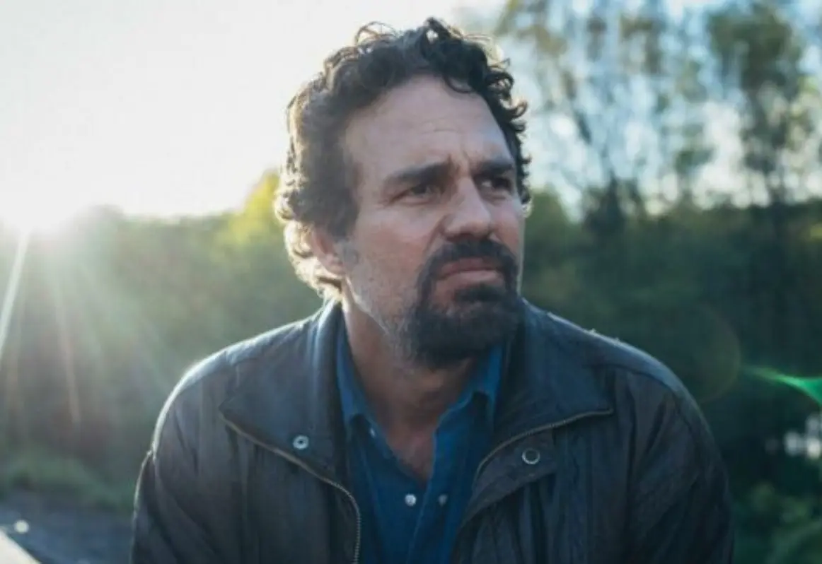 Presenta la complicada relación de Dominick Birdsey con su hermano gemelo Thomas, quien es esquizofrénico, así como sus intentos por sacarlo del centro donde está internado.