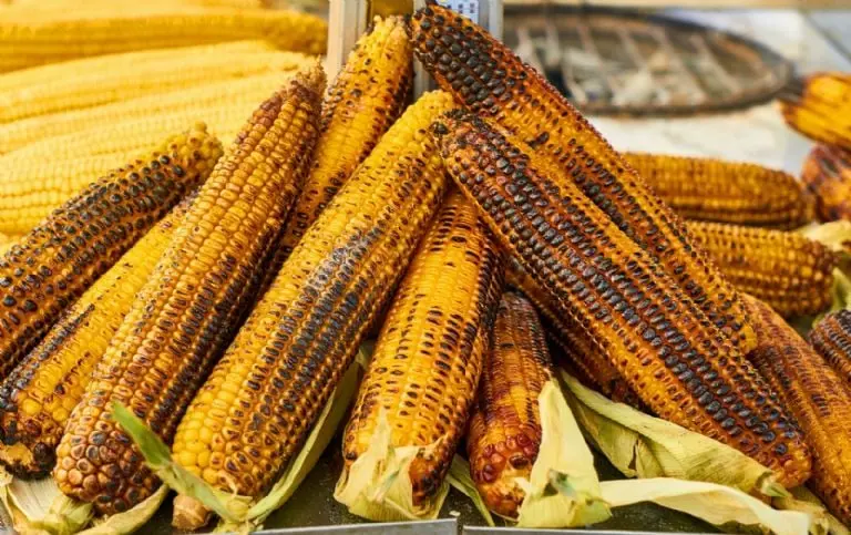 Exposición Culinaria del Elote y la Tortilla 2023 - Pexels