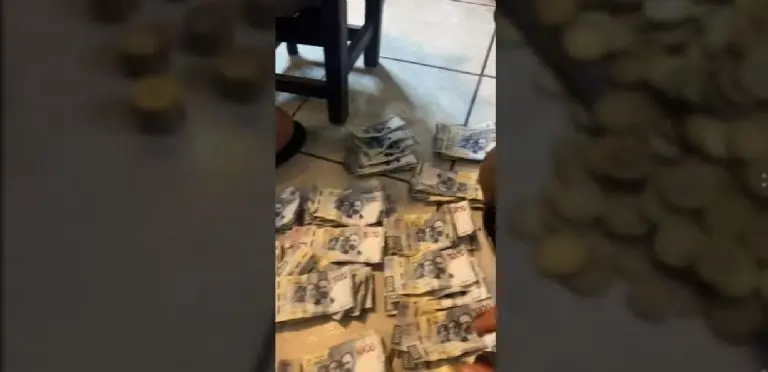 Había billetes de diferentes denominaciones. Foto: captura de pantalla.