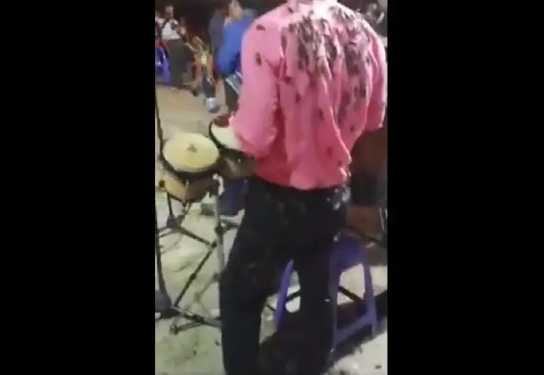 Plaga de grillos invade a músicos (Facebook)