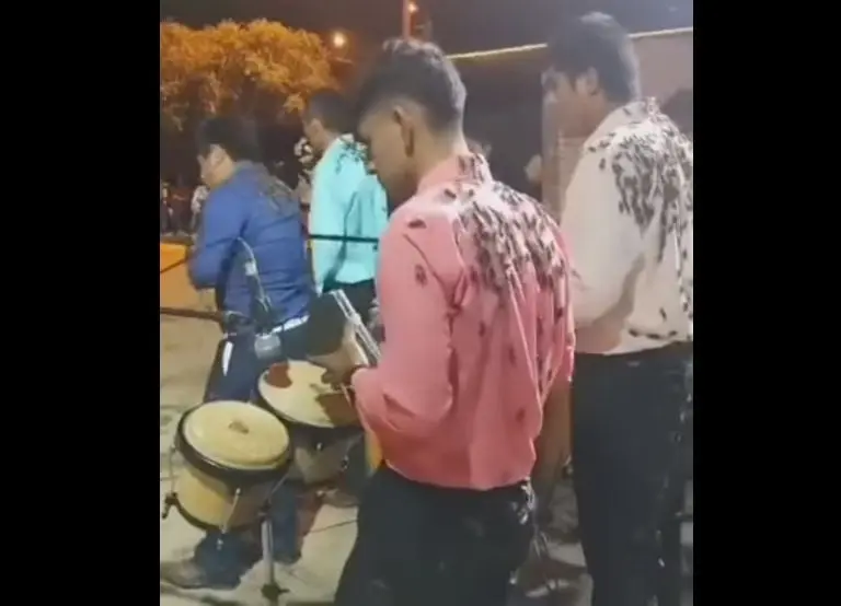 Plaga de grillos invade a músicos (Facebook)