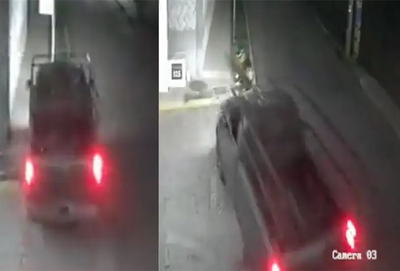 VIDEO: Buscan a conductor que atropell&oacute; a perros en Puebla. 
