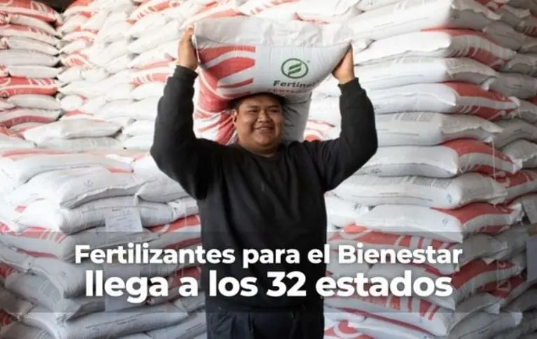 Esto reciben los mexicanos a través de los programas sociales. Foto: Gobierno de México