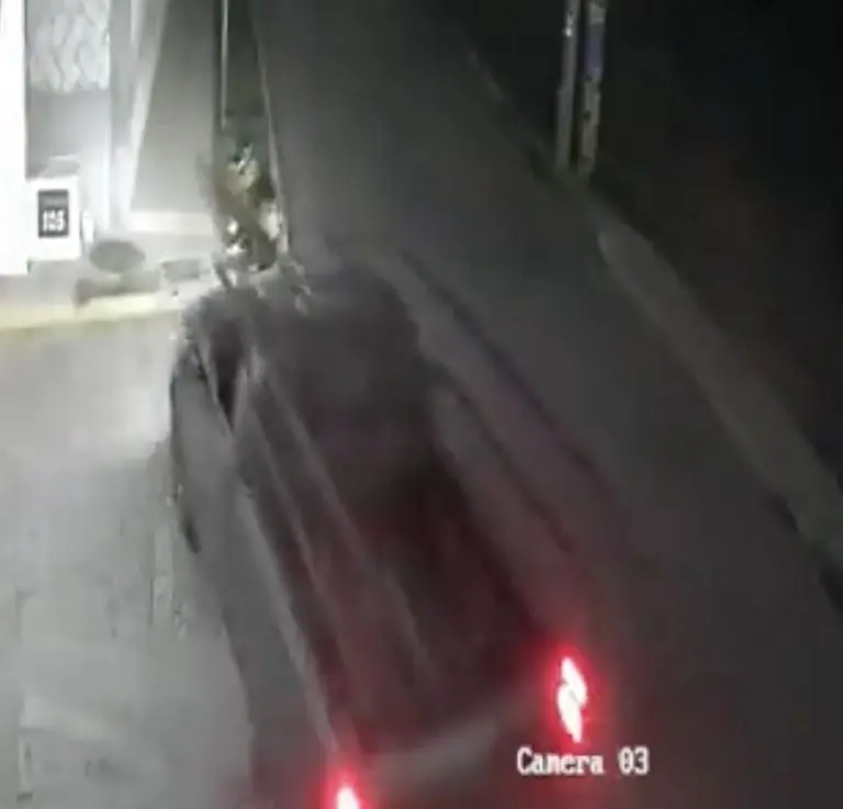 VIDEO: Buscan a conductor que atropelló a perros en Puebla. Foto: Twitter