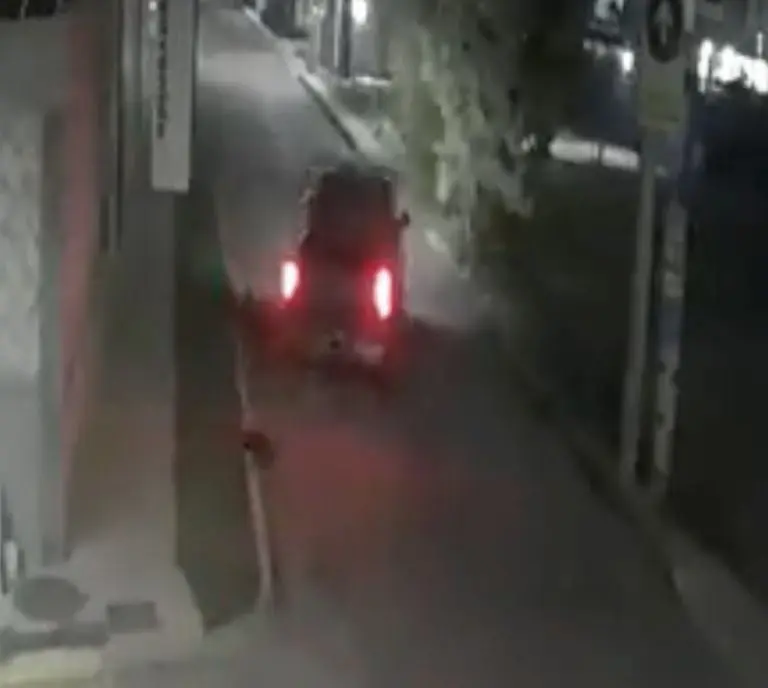 VIDEO: Buscan a conductor que atropelló a perros en Puebla. Foto: Twitter