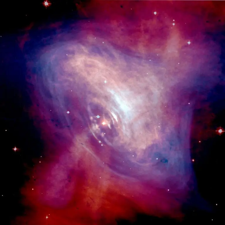 ¿Y si la vida terrestre es de origen extraterrestre? Fuente: Pixabay