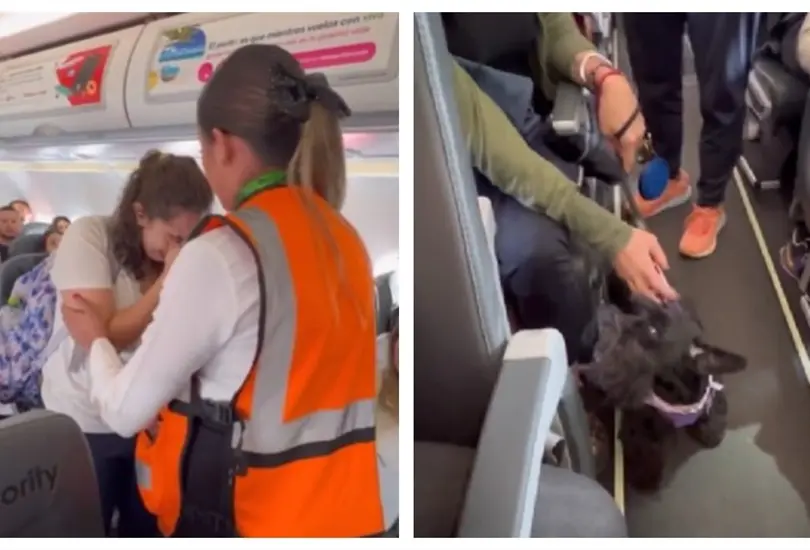 Desalojan a pasajera con su perrito Desalojan a pasajera con su perrito