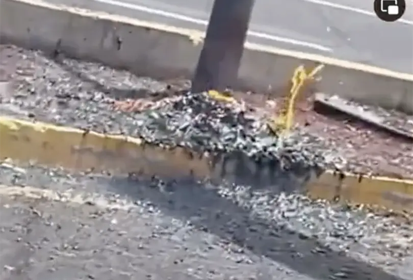 VIDEO: Captan supuesto nacimiento de volcán en Tlaxcala. VIDEO: Captan supuesto nacimiento de volcán en Tlaxcala.