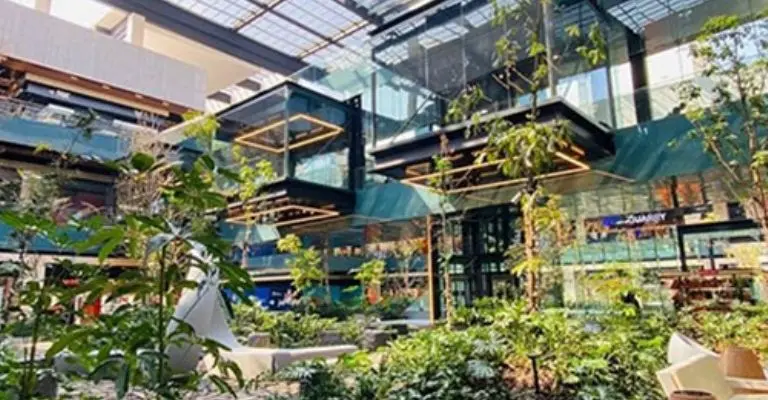 El acuario más grande de Latinoamérica estará en CDMX. Créditos: Parque Tepeyac