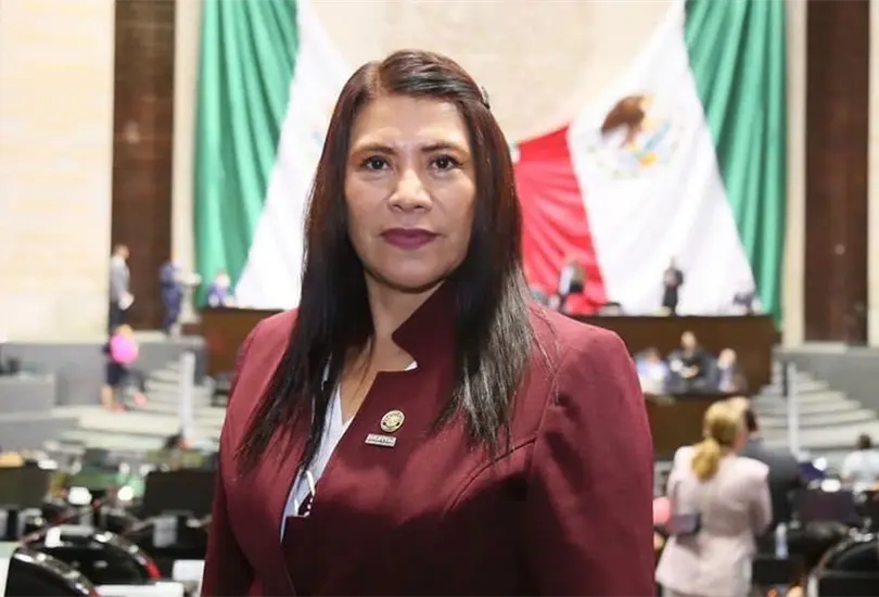 Diputada Adela Ramos en desacuerdo con la distribución de libros de la SEP Diputada Adela Ramos en desacuerdo con la distribución de libros de la SEP