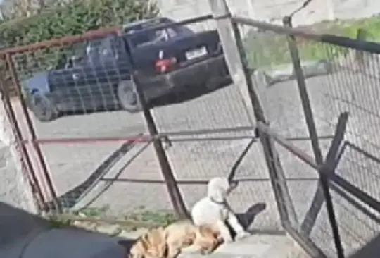 El presunto delincuente, luego de ser detenido por el joven, fue amarrado a un vehículo y arrastrado por varias calles antes de llegar a un terreno baldío. El presunto delincuente, luego de ser detenido por el joven, fue amarrado a un vehículo y arrastrado por varias calles antes de llegar a un terreno baldío.