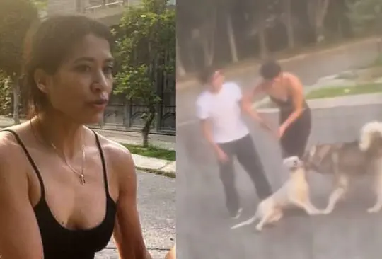 VIDEO: Mujer ordena a su perro Husky matar a otros perros. 