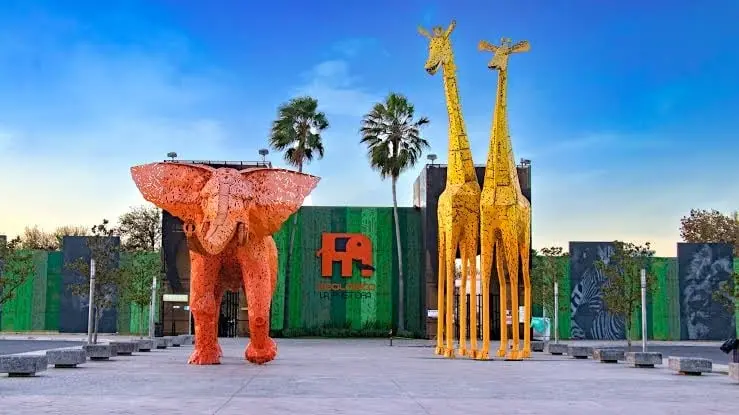 Reubican a tigres y lobos del zoológico Nuevo León a santuario de Sinaloa Reubican a tigres y lobos del zoológico Nuevo León a santuario de Sinaloa