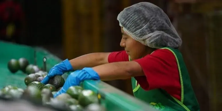Propuesta de aumento de aguinaldo al doble en México Créditos: Cuartoscuro