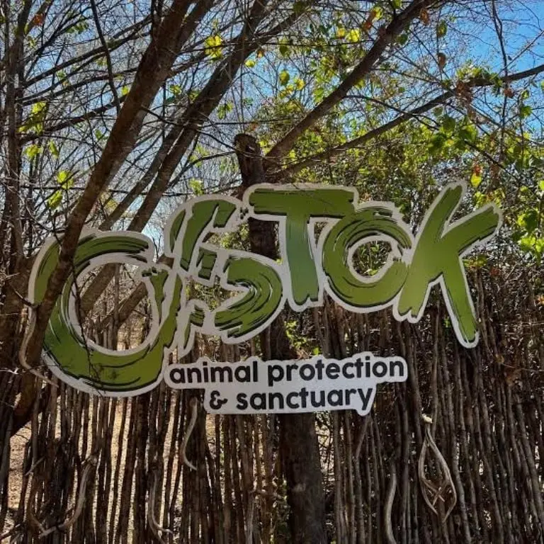 Reubican a tigres y lobos del zoológico Nuevo León a santuario de Sinaloa Créditos: Twitter