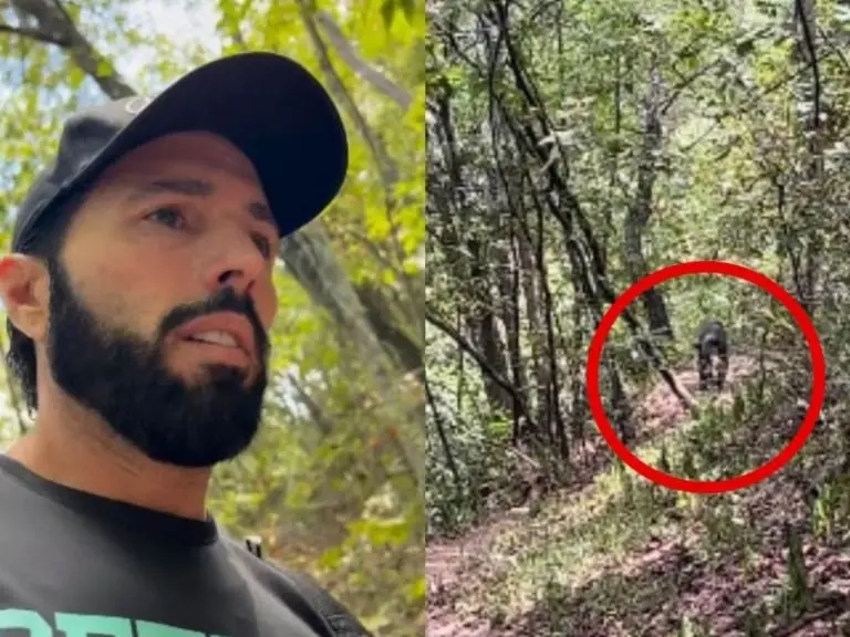 VIDEO: Oso persigue a Poncho de Nigris y su familia durante varios kilómetros. Foto: Twitter