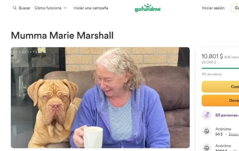 Abuelita pierde sus ahorros por una estafa (GoFundMe)