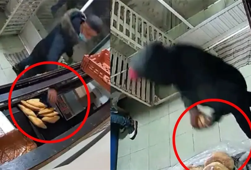 VIDEO: Sujetos asaltan panadería y se llevan hasta el pan en Edomex. VIDEO: Sujetos asaltan panadería y se llevan hasta el pan en Edomex.