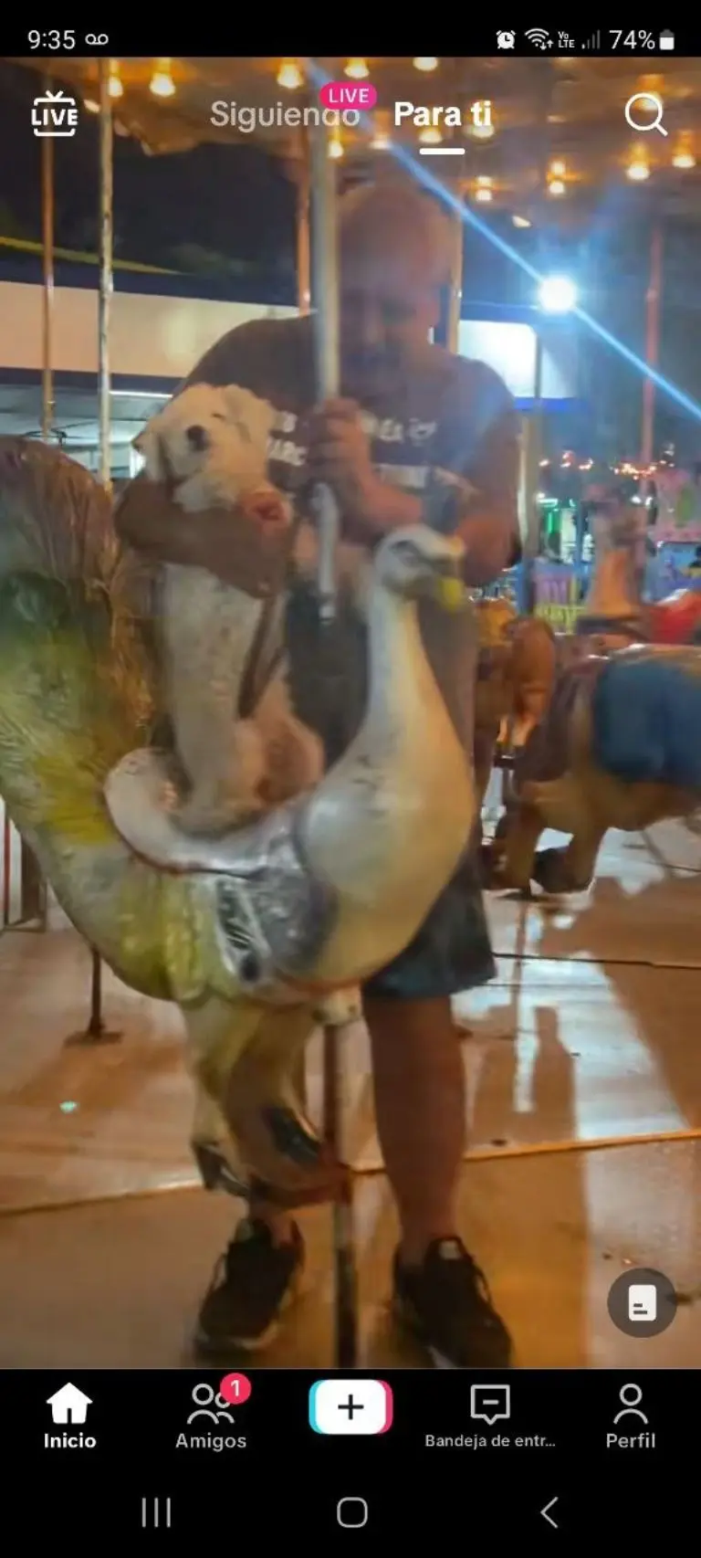 Abuelito con perrito en carrusel - Tomada de video