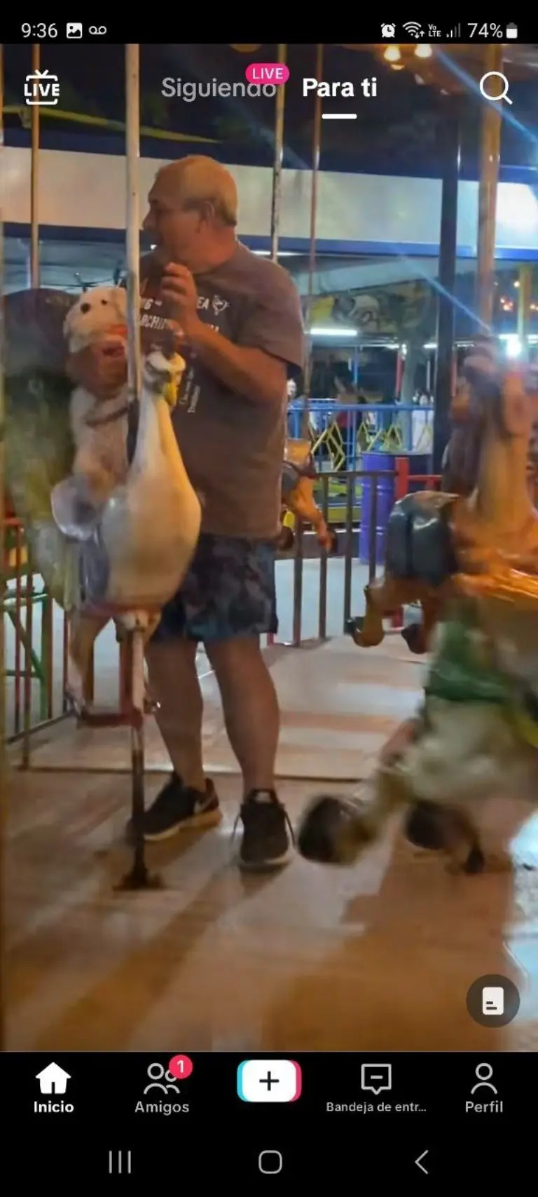Abuelito con perrito en carrusel - Tomada de video