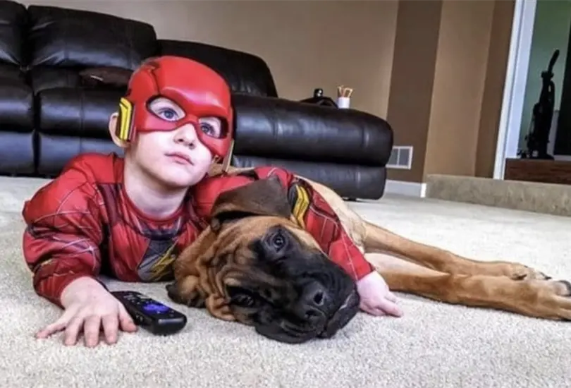 Mamá lo castiga y su mascota lo apoya Mamá lo castiga y su mascota lo apoya