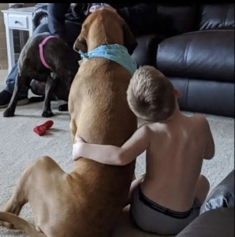 Mamá castiga a su hijo y su perro le hizo compañía de una peculiar manera Créditos: Facebook