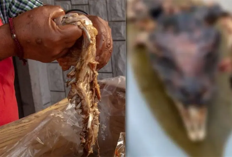 Descubren puesto de tacos que vend&iacute;a carne de perro en Hidalgo. 