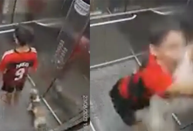 VIDEO: Ni&ntilde;o salva a su perro que se atora en elevador. 