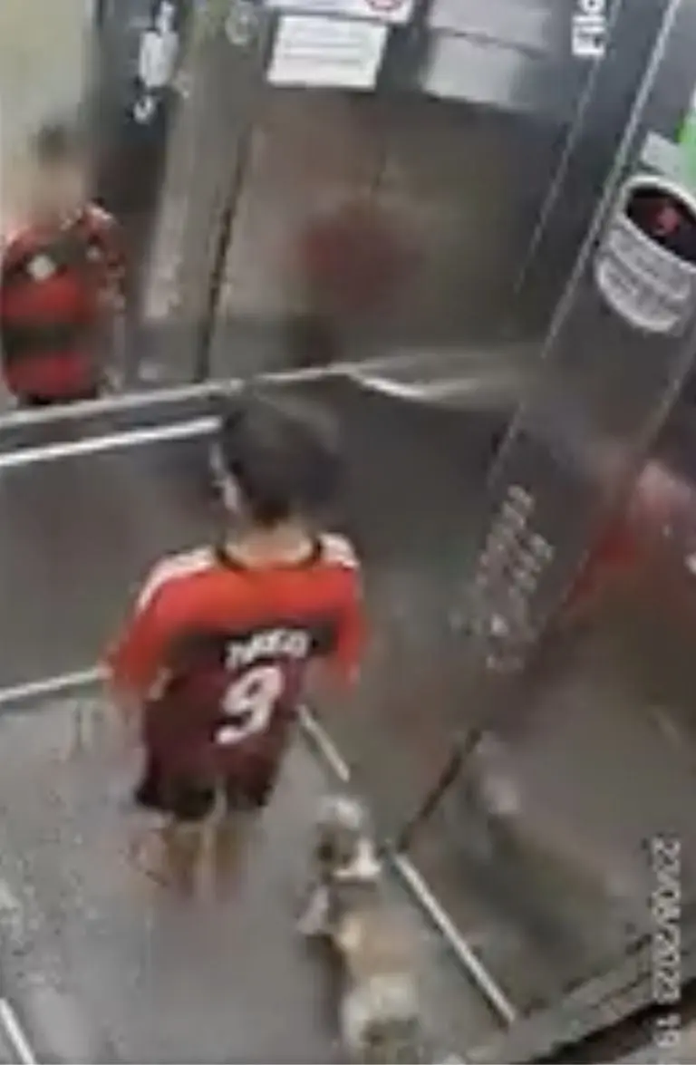VIDEO: Niño salva a su perro que se atora en elevador. Foto: Twitter