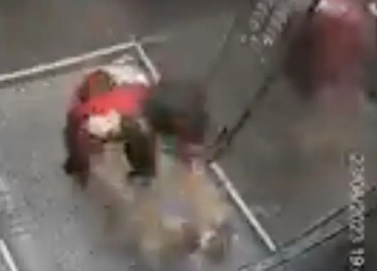 VIDEO: Niño salva a su perro que se atora en elevador. Foto: Twitter