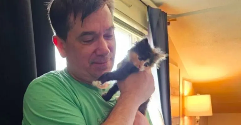 Cartero gana la lotería después de rescatar un gatito abandonado Créditos: Facebook