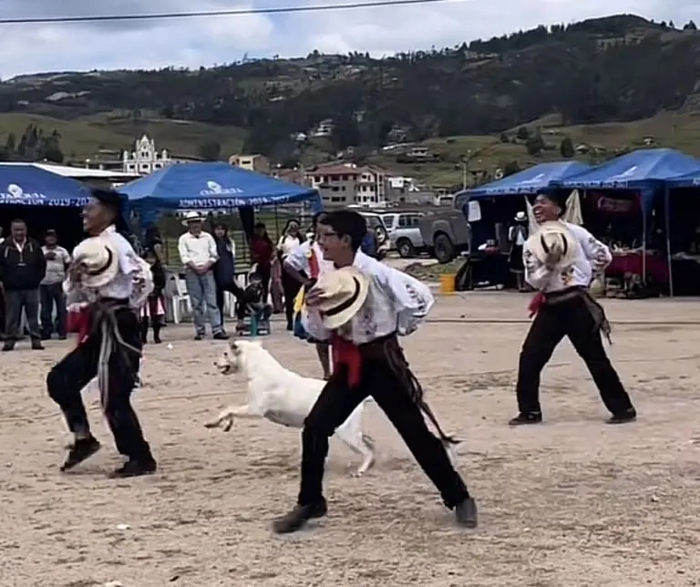 Firulais, el perrito que causa sensación en las fiestas por sus arriesgados pasos Créditos: Captura de video