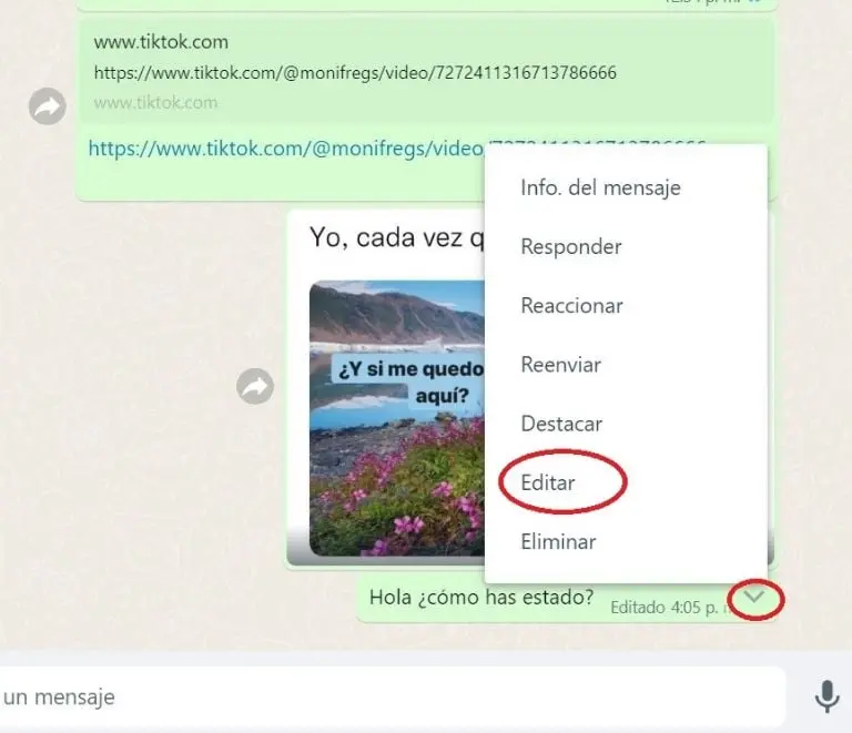 Editar mensajes en WhatsApp Web (Captura de pantalla)