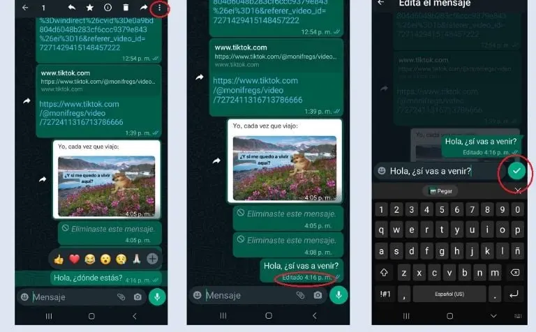 Editar mensajes en WhastApp (Captura de pantalla)