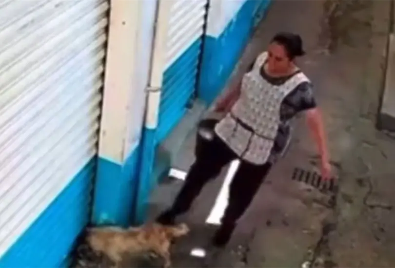 Exhiben en video a mujer por maltratar a un animal en un mercado de Ecatepec. Exhiben en video a mujer por maltratar a un animal en un mercado de Ecatepec.